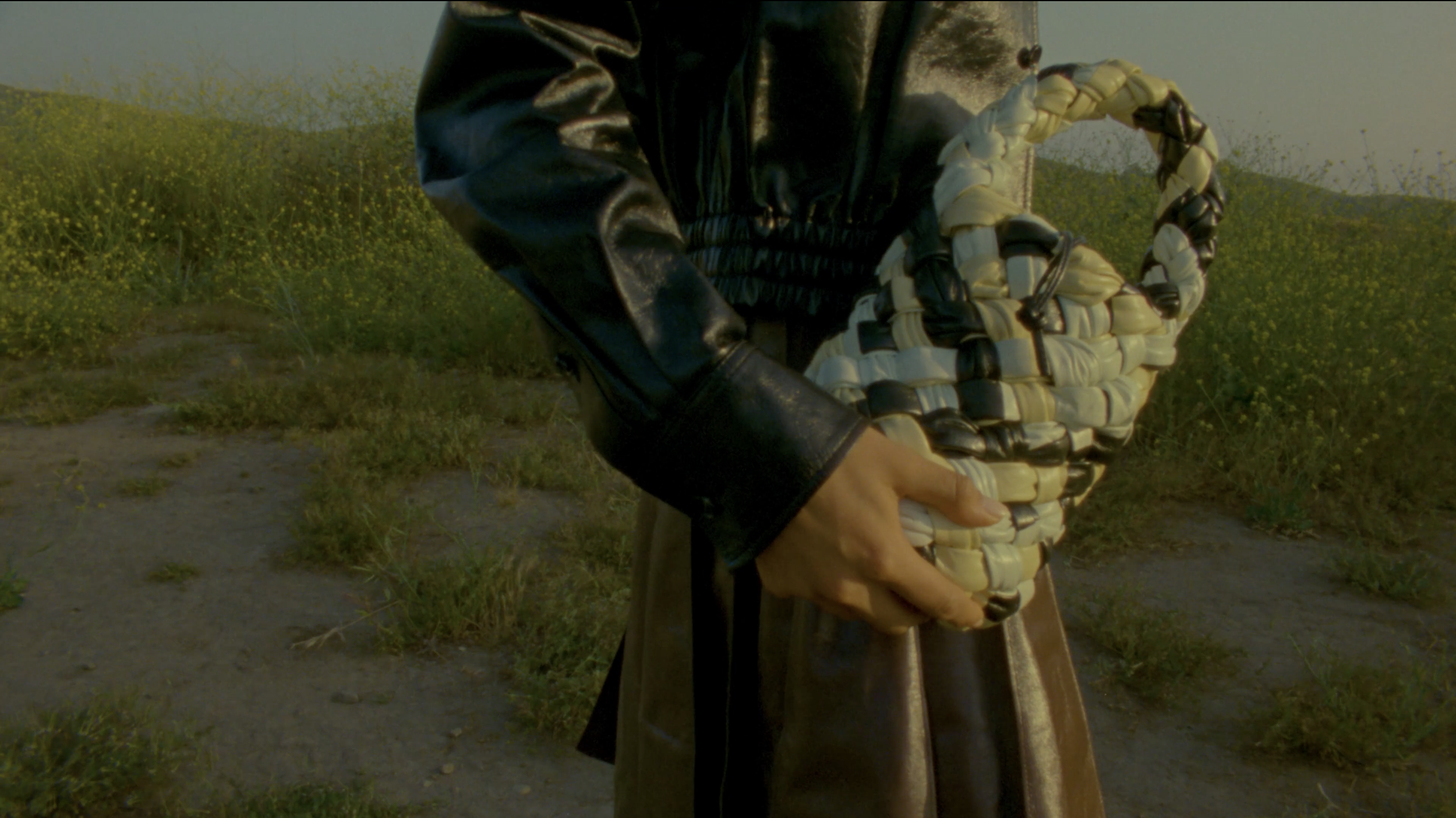 Bottega Veneta — MADELINE LEACH